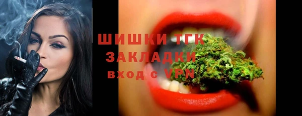 PSILOCYBIN Алексеевка
