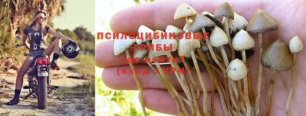 дурь Алексин